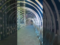 IP68 Underwater Neon Flex 24V TPU Materials Flexible Led Strip For Swimming Pool Use