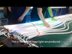 RGBW Flexible LED neon flex Len Led Strip Lights