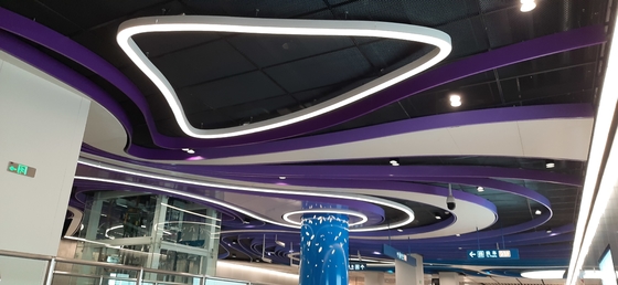 Irregular Figure Type Led Ring Ceiling Lights 260W Circle Led Hanging Light